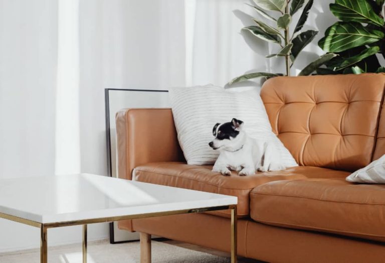 4 Home Remedies To Remove Pen Ink Stain From Faux Leather Leather