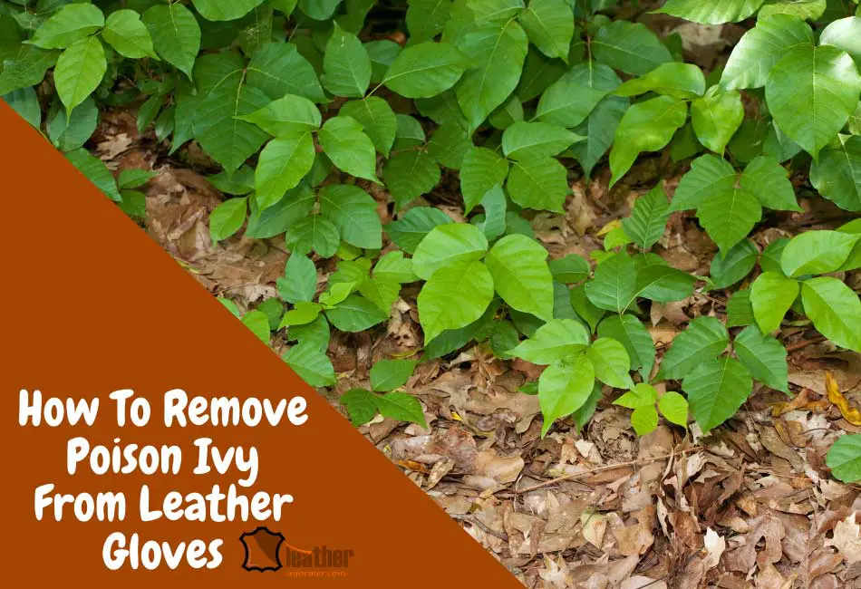 how-to-remove-poison-ivy-from-leather-gloves