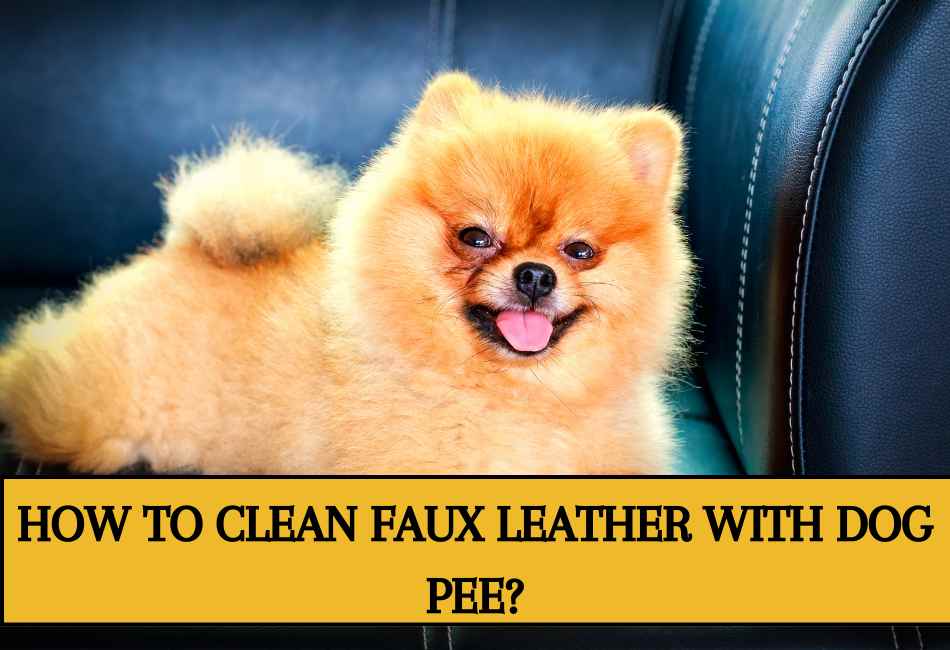 how-to-clean-faux-leather-with-dog-pee